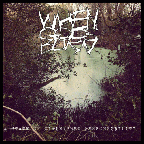 A State of Diminished Liberty